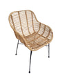 Armlehnstuhl, 2er-Set Sitzschale Rattan | Sitzhöhe 47 cm, Sitzbreite 47 cm, Sitztiefe 45 cm, Höhe der Armlehnen 69 cm
