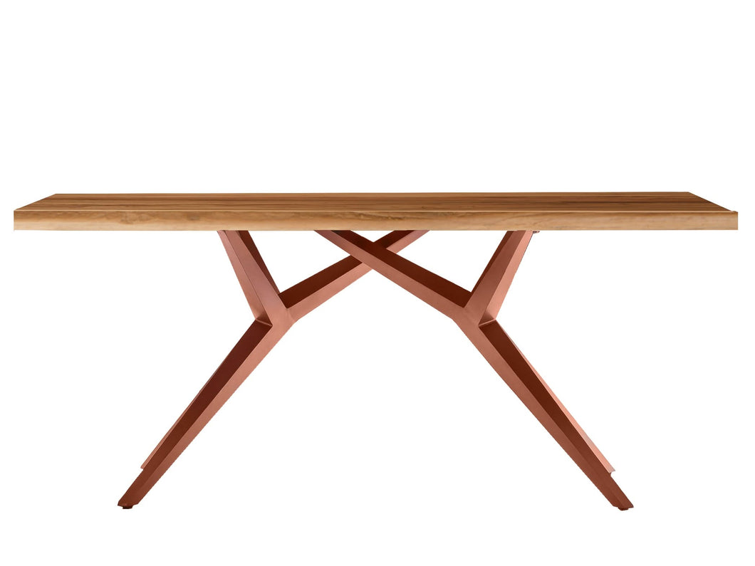 Tisch 200x100 cm Platte Teak natur, extravagantes braunes Gestell | Plattenstärke 20 mm auf 50 mm aufgedoppelt